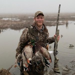 Meet your Posher, Henry